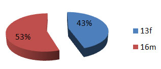 Gráfico 1