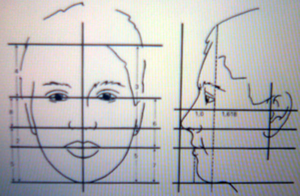Figura 3.1 Proporciones Áuricas en una cara armónica