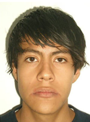 Fig. 1 Fotografía de frente de inicio