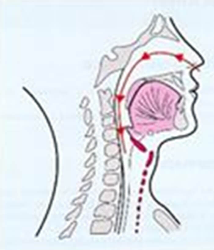 RESPIRACIÓN NASAL Figura 1.5.1