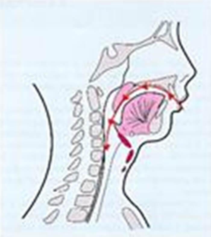 RESPIRACIÓN BUCAL Figura 1.5.2