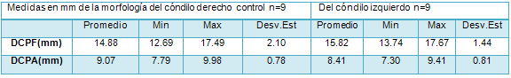 Tabla 4 Medidas en milímetros de la morfología del cóndilo derecho de los pacientes simétricos en el plano frontal (DCPF) y anteroposterior (DCPA)