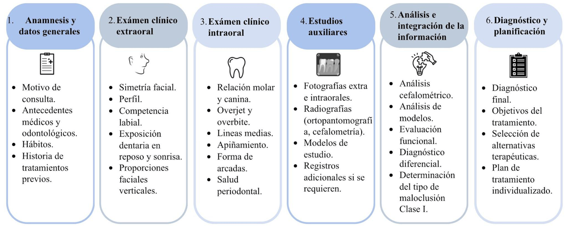 Figura 1. Algoritmo de diagnóstico de la maloclusión Clase I de Angle