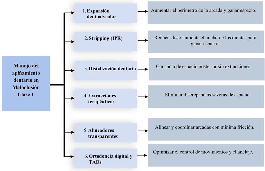Figura 3. Esquema del manejo terapéutico del apiñamiento dentario en la maloclusión Clase I de Angle.