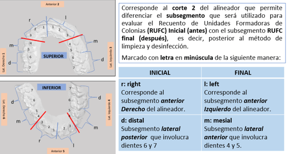 Ilustración 2  Segundo corte de los alineadores