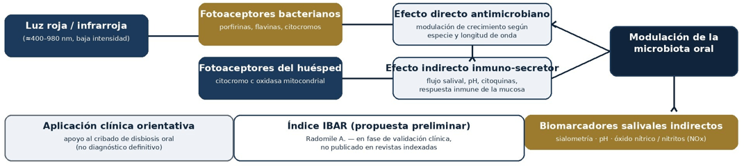 Figura 1. Esquema conceptual del eje bioestimulación láser - microbiota oral - biomarcadores salivales