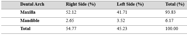 Table 1. Percentage distribution of impacted canines according to dental arch and side. Jequié, Bahia, Brazil, 2025.